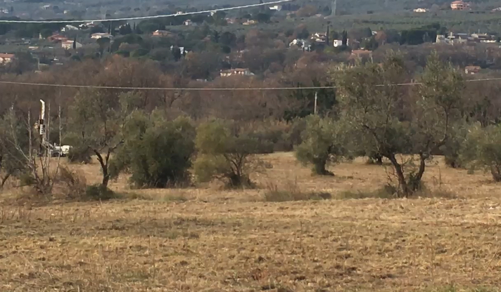 Centro Sportivo Ternana, si sfila dal ricorso una delle componenti del Comitato avverso-VIDEO