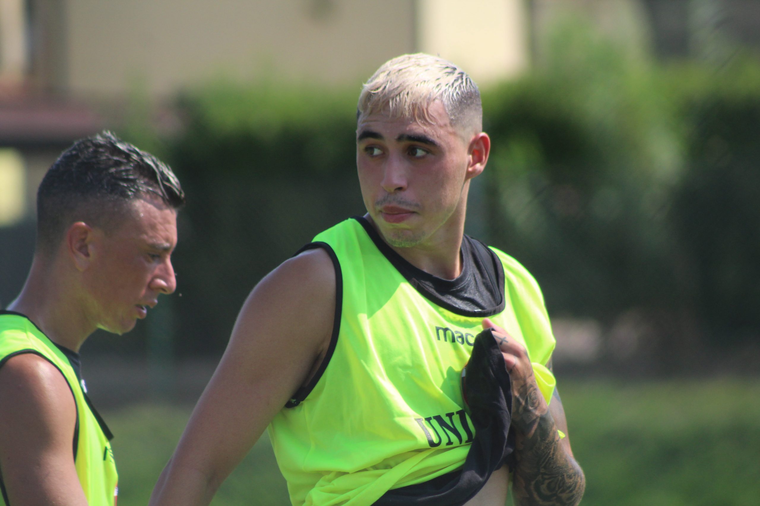 Ternana-Venezia, i precedenti al Liberati