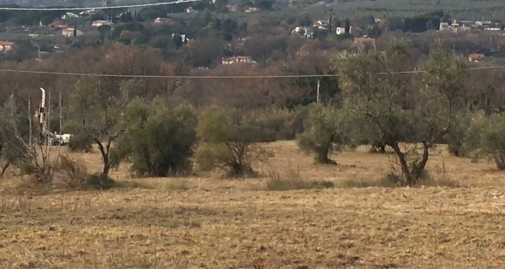 Ternana, novità sul centro sportivo