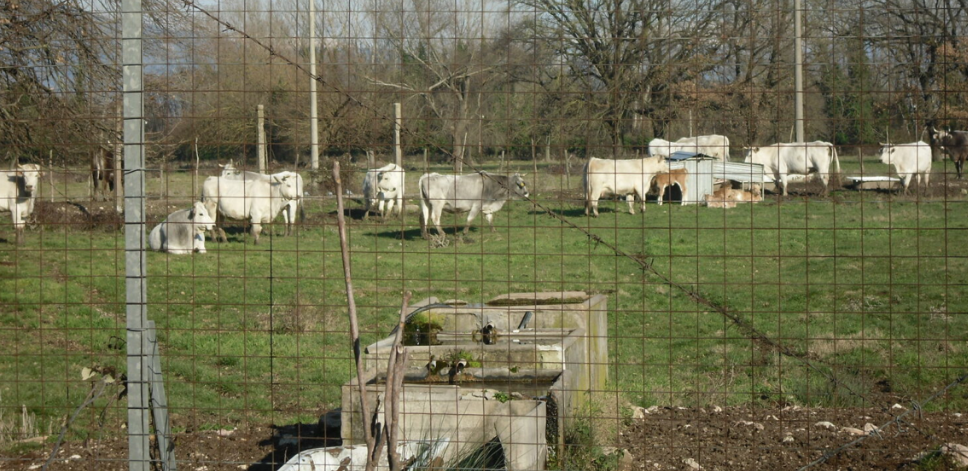 E’ dell’Unicusano l’area dell’ex Spea di Narni Scalo
