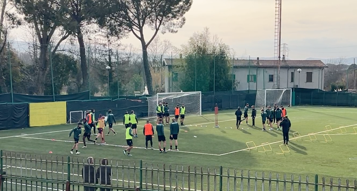 Verso Ternana-Cosenza