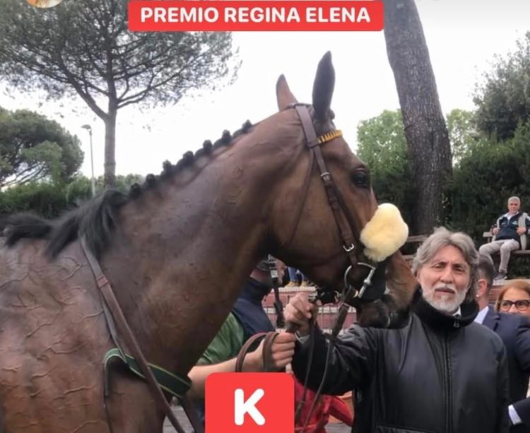 Ippica, Klaynn vince il prestigioso “Regina Elena”