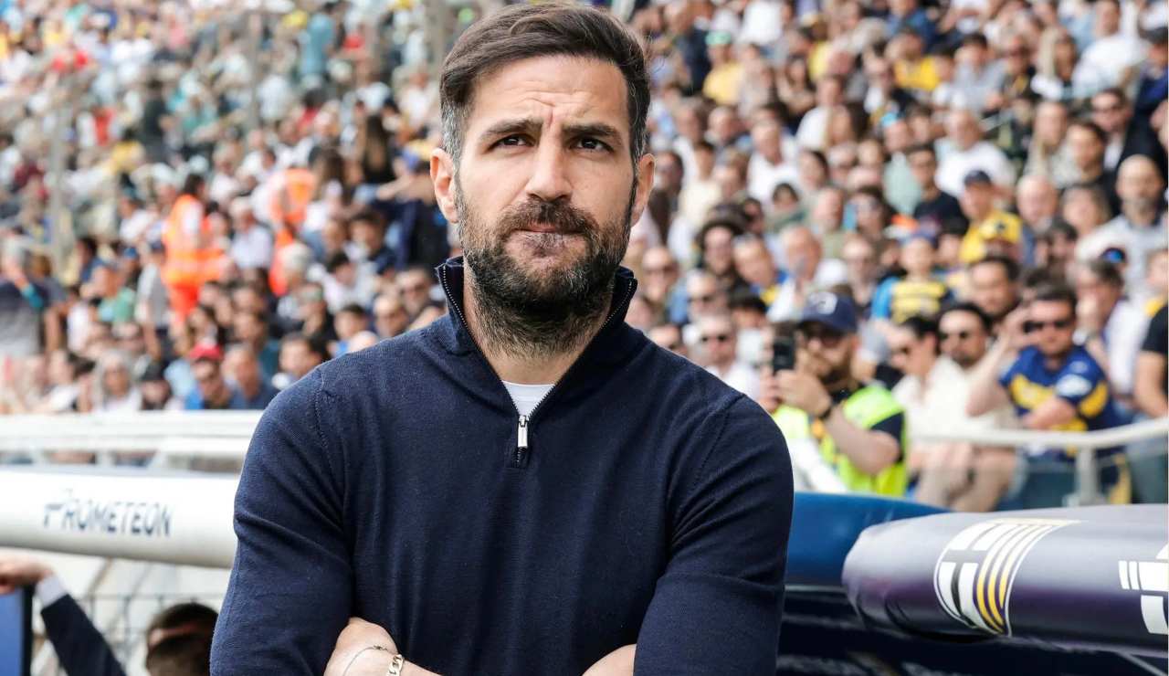 Fabregas è al settimo cielo